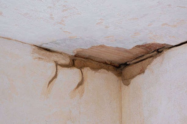 Best Fire Damage Restoration  in Chualar, CA
