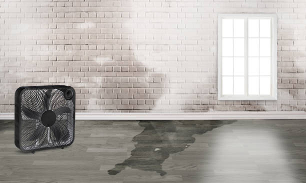 Best Flooded house restoration  in Chualar, CA