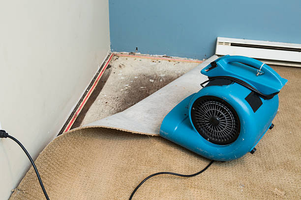Best Water damage restoration near me  in Chualar, CA